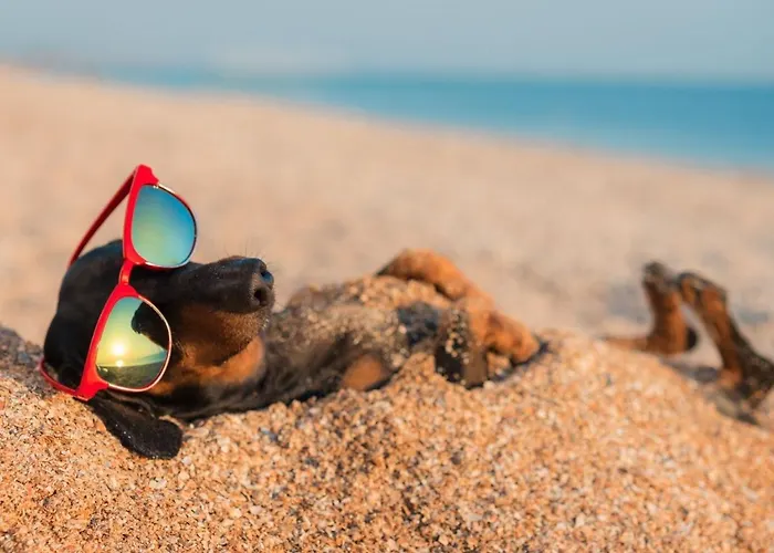 Дом отдыха Sunset House On The Мэрипорт